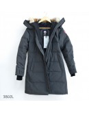 Canada goose 3802L 鐵灰